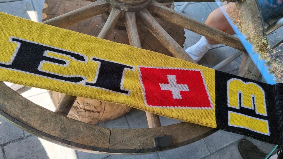 Verschiedene BVB Schal's in Detmold