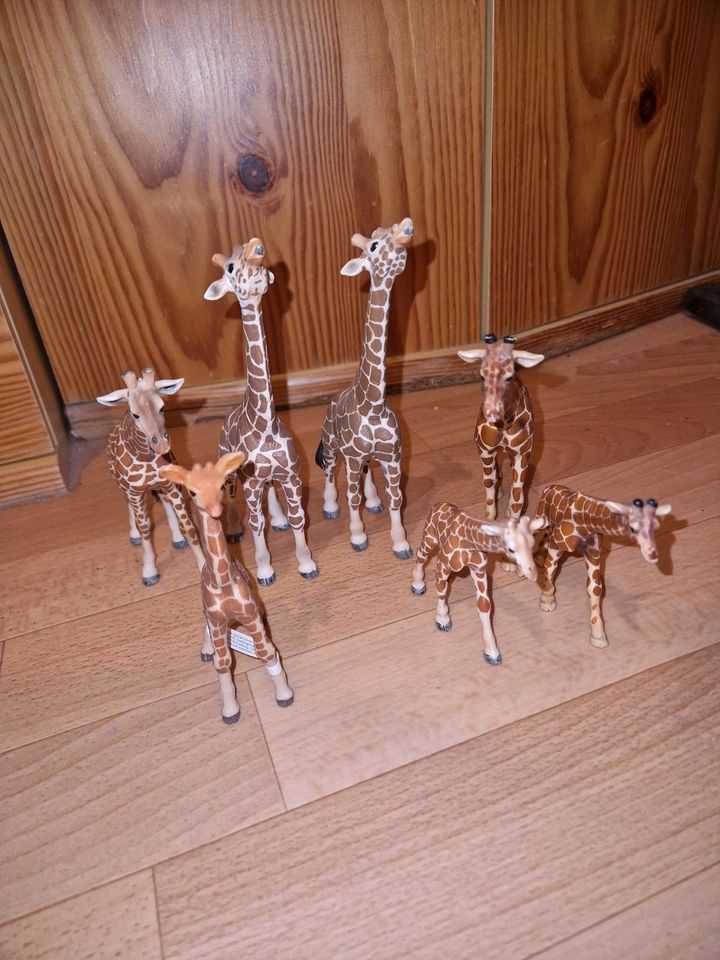Giraffen Dekoration in Bingen
