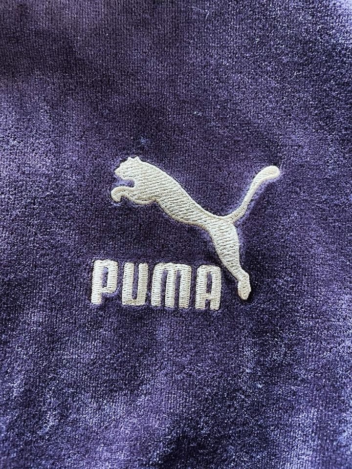 Kaputzenpulli Puma, Größe L, braun in Stuttgart