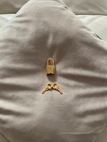 Louis Vuitton Schloss + Schlüssel Original Neu München - Altstadt-Lehel Vorschau