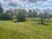 Grundstücke & Gärten mieten und kaufen in Cottbus Brandenburg