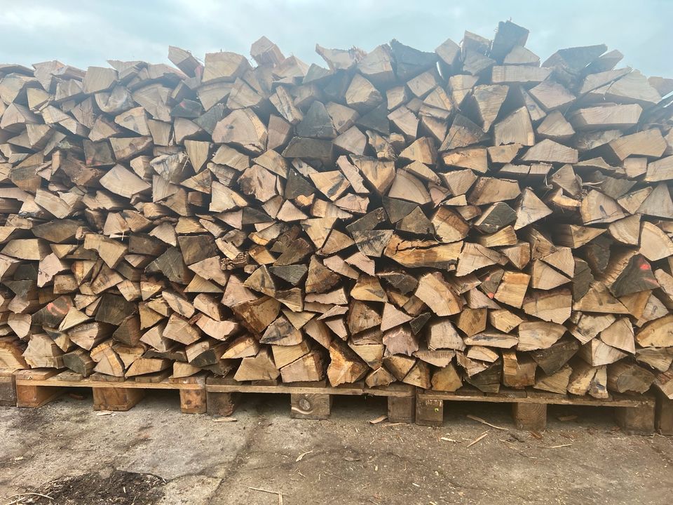 Kaminholz Brennholz Stammholz Eiche RM 124,00€ in Berlin