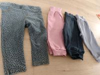 Zara Jeans div Jogger 80 Nordrhein-Westfalen - Leverkusen Vorschau