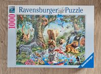 Ravensburger Puzzle 19837, Abenteuer im Dschungel, 1000 Teile NEU Berlin - Hellersdorf Vorschau