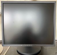 Monitor 19" Eizo S1931 Köln - Weidenpesch Vorschau