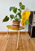 50er 60er Stuhl Schichtholz gelb extravagant Mid Century Vintage Pankow - Prenzlauer Berg Vorschau