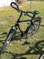 Herrenfahrrad  28 Zoll Dithmarschen - Nordhastedt Vorschau