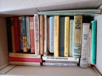 Konvolut von mehreren hundert Büchern Hessen - Rotenburg Vorschau