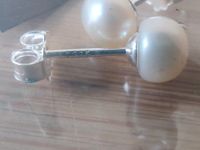 Ohrstecker Voll Silber 925 Perle 5,5mm Creolen Nordrhein-Westfalen - Recklinghausen Vorschau