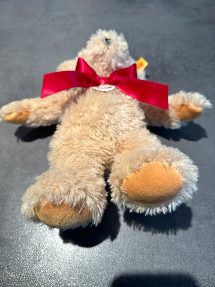 Steif Teddybär - unbespielt in Hasselroth