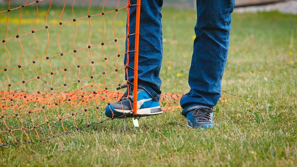 Geflügelnetz 106cm Höhe, elektrifizierbar, orange, PoultryNet in Treuenbrietzen