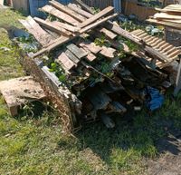 Holz zum verschenken Hessen - Groß-Rohrheim Vorschau
