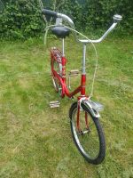 Peugeot Klapprad Fahrrad Klappfahrrad Bonn - Beuel Vorschau