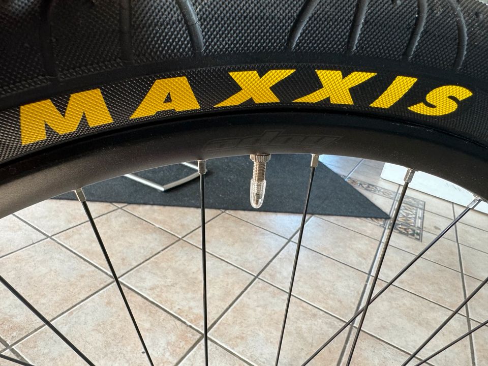 Hope Ventus 30 Felgen 29 Zoll mit Maxxis Reifen in Neuenkirchen-Vörden