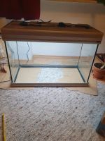 Aquarium aquatlantis ~130 Liter Eheim Filter zubehör Mitte - Wedding Vorschau