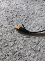 LAN-Kabel für Internet+ Adapter extra Brandenburg - Templin Vorschau