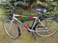 Pegasus, City-Bike, 7 Gänge, Bäckerschloss Kiel - Hassee-Vieburg Vorschau