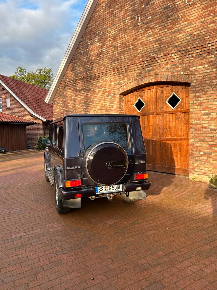 Mercedes 500 GE AMG 463 H-Kennzeichen V8 in Neuenkirchen - Merzen