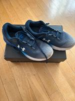 Under Armour Turnschuhe Gr. 41 Frankfurt am Main - Sachsenhausen Vorschau