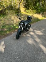 Honda CB 125R Baden-Württemberg - Donaueschingen Vorschau