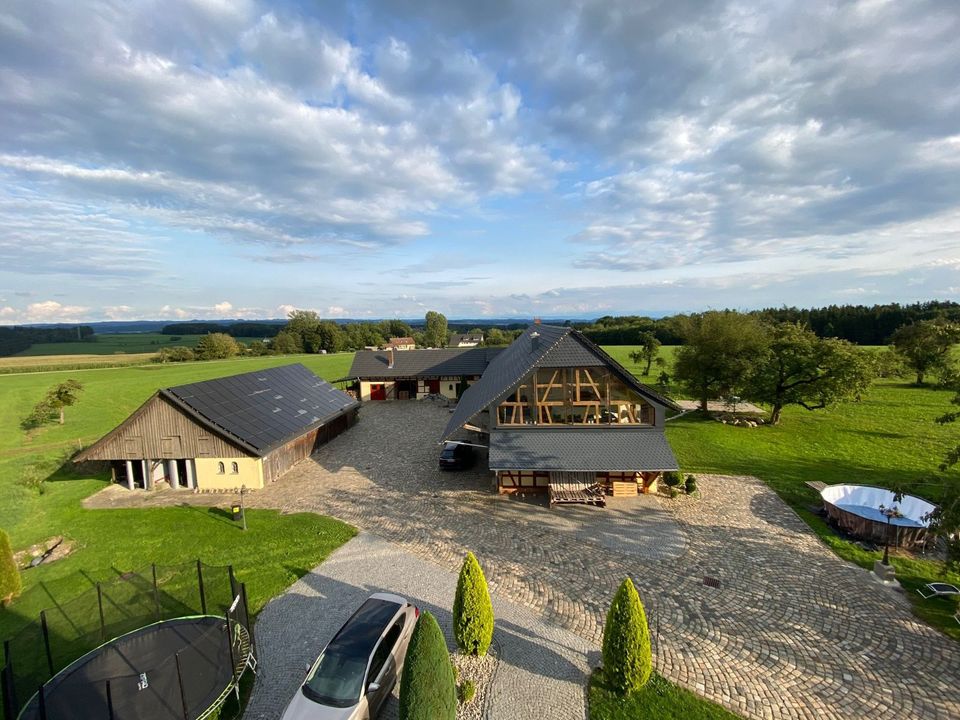 Englisch Schüler Sommerferien Tagescamp Freude Spaß in Ravensburg