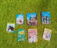 Ich verkaufe verschiedene kinderbücher Nordrhein-Westfalen - Recklinghausen Vorschau