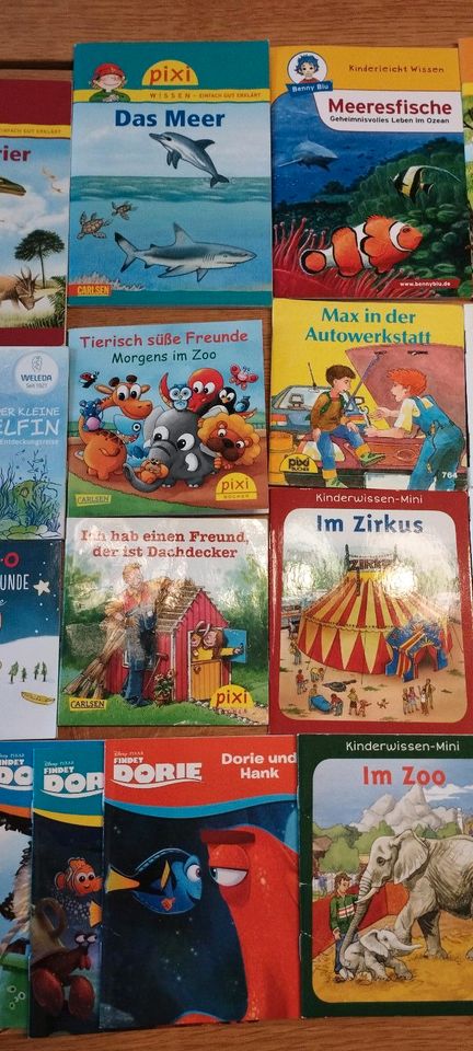 Pixi Bücher Minibücher Findet Dori,Feuerwehrmann Sam,Kinderwissen in Bremen