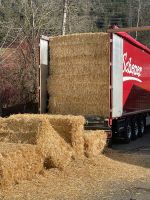 Verkaufe schönes Stroh Großpacken Bayern - Füssen Vorschau