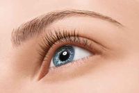 Workshop Wimpernlifting und Brown Lifting  Einzelkurs Chemnitz Chemnitz - Altendorf Vorschau