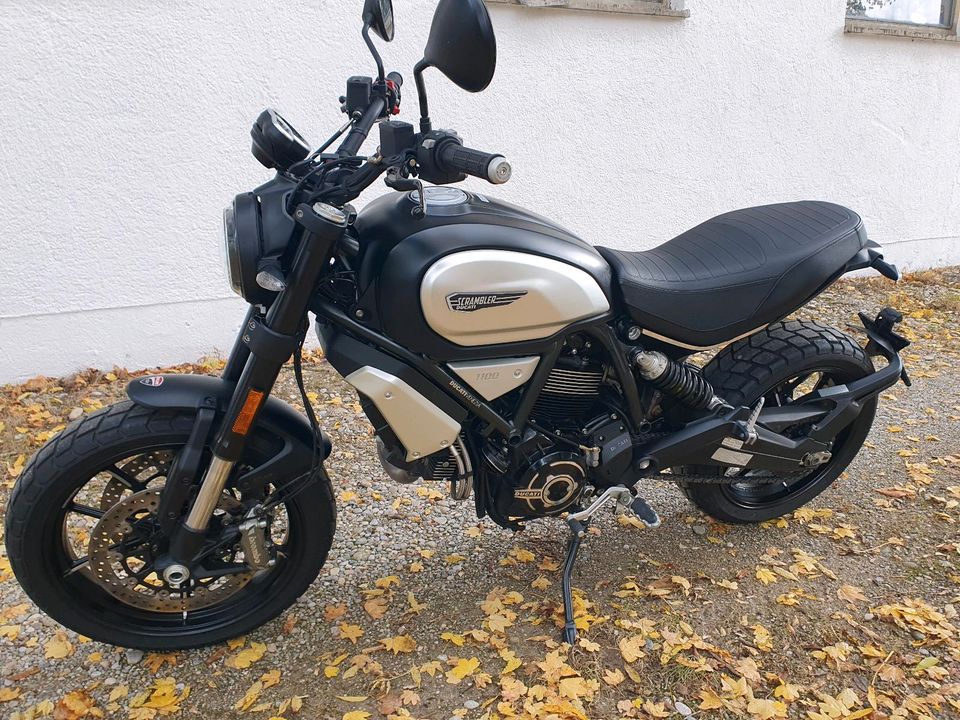 Ducati Scrambler 1100 pro in Hohenschäftlarn