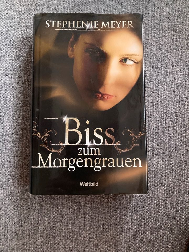 4 Bücher „Twilight Biss“ von Stephenie Meyer in Marburg