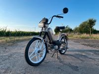 Sachs Prima 4 Hercules Mofa Moped Rheinland-Pfalz - Framersheim Vorschau