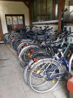 Auswahl an Fahrrädern Nordrhein-Westfalen - Detmold Vorschau