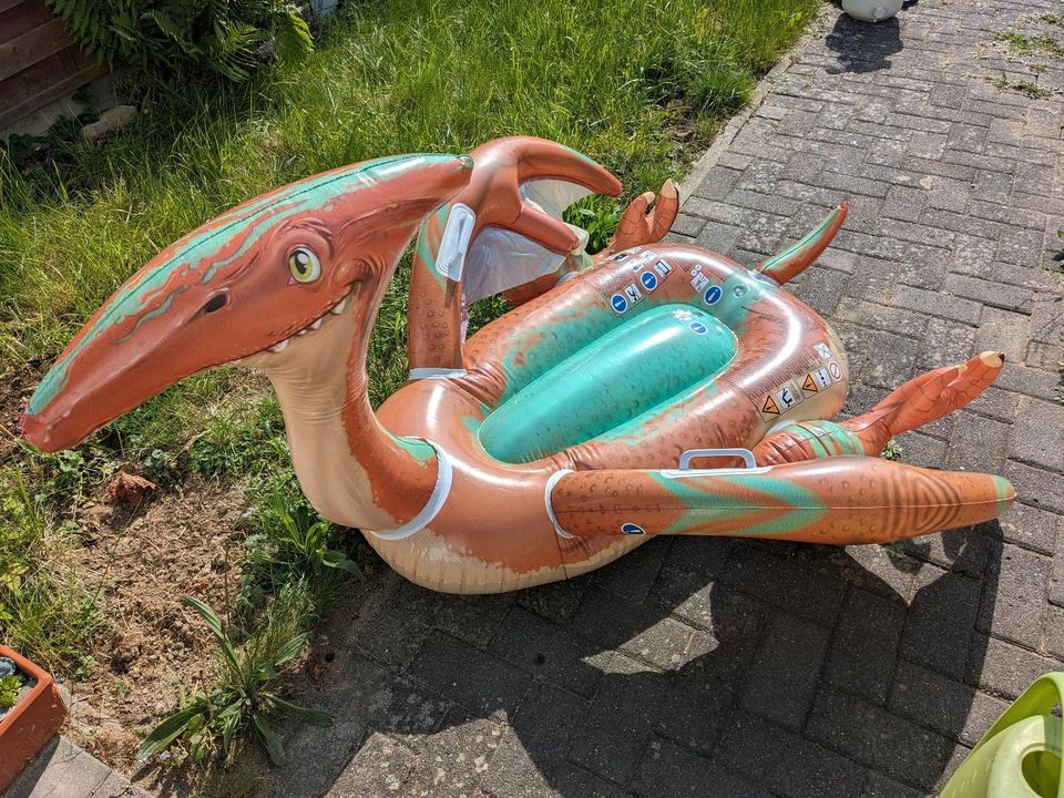 Schwimmtier - Dinosaurier in Neuwied