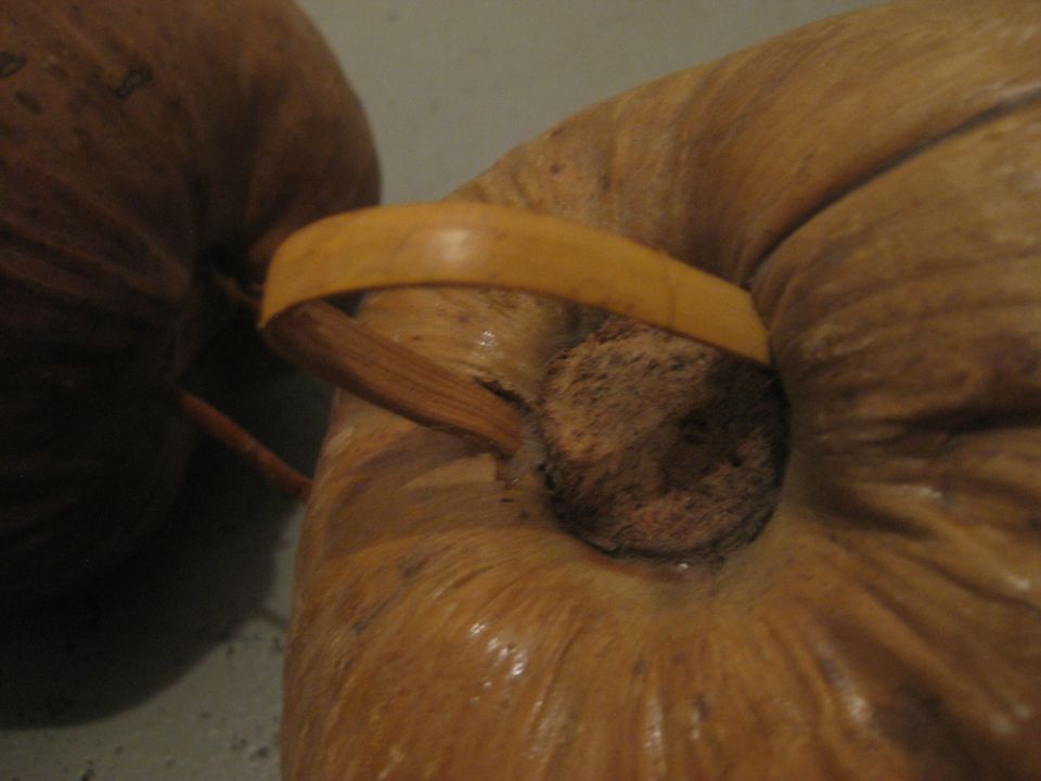 3 Kokosnüsse zur Deko in Bochum