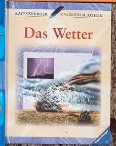 Bilderlexikon Tiere Das Wetter Tiere im Hohen Norden Wildkatzen in Walsrode