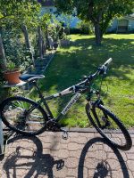 Haibike Mountainbike Rheinland-Pfalz - Weilerbach Vorschau