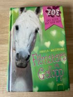 Zoe - Filmstars im Galopp Nordrhein-Westfalen - Löhne Vorschau