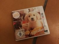 3DS Nintendogs + Cats München - Bogenhausen Vorschau