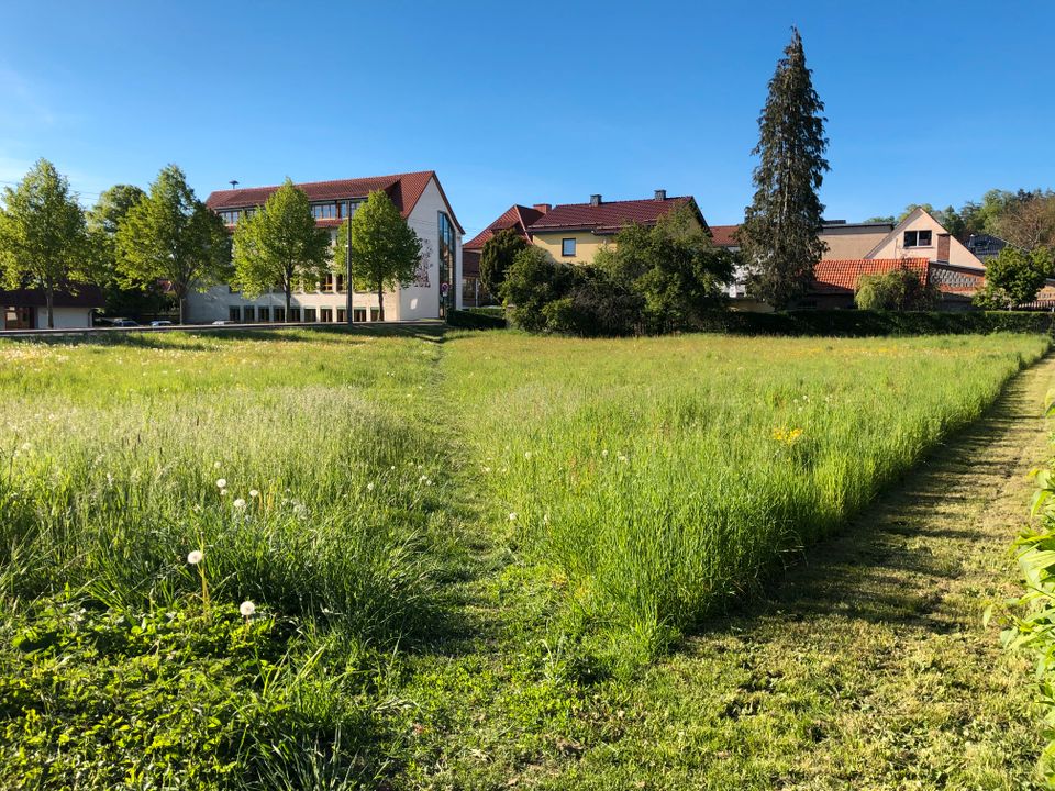 Mitten im Ort-kurze Wege-diverse Teilflächen - Baugrundstücke in Marksuhl in Marksuhl