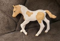 Schleich Paint Horse Fohlen (13886) Nordrhein-Westfalen - Mönchengladbach Vorschau