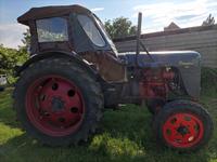 DDR Trecker Famolus RS14/46 mit Papiere Lübeck - St. Jürgen Vorschau