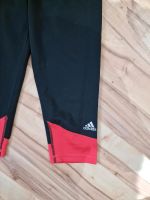 3/4 Hose von Adidas 34 Rheinland-Pfalz - Lambsheim Vorschau