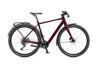 WINORA "E-Flitzer" Mahle SmartBikeSystem Ebike Pedelec Bayern - Marktbergel Vorschau