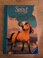 Spirit Buch Baden-Württemberg - Königheim Vorschau