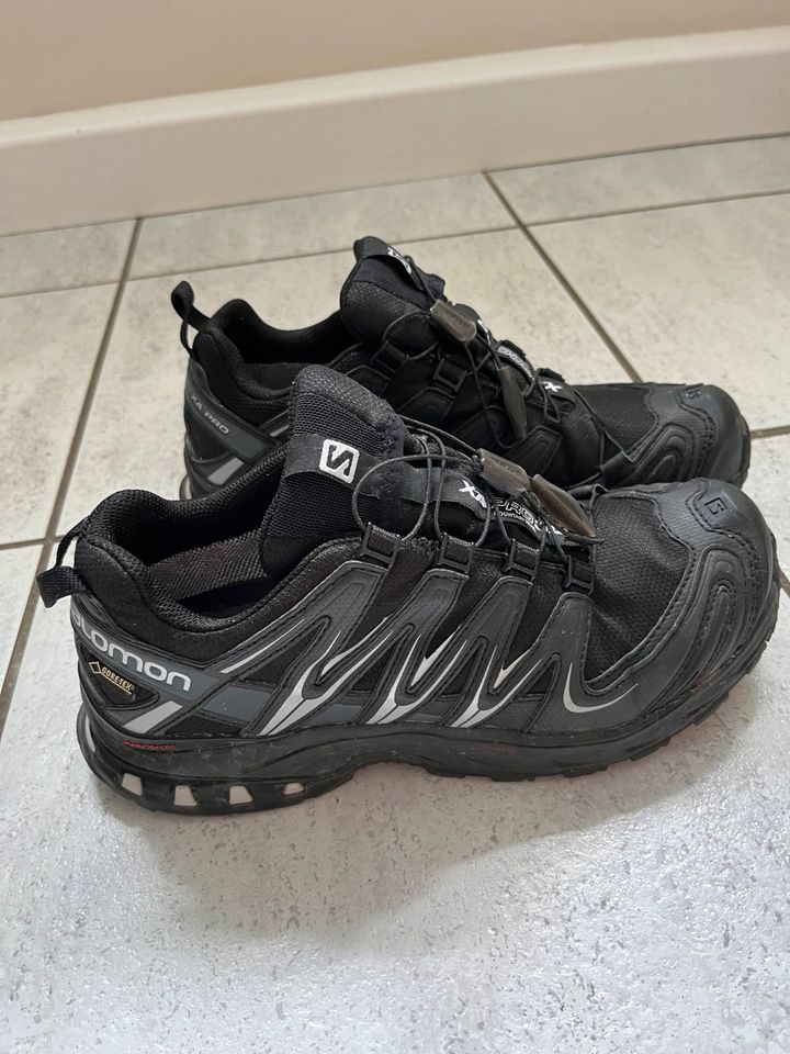 Salomon XA pro 3D Damen Goretex Schuhe in Kelheim