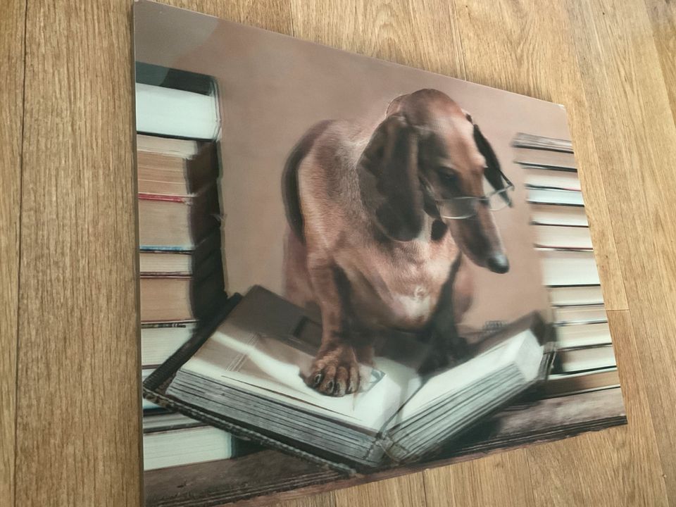 Leinwand Holzbild Hund 3D Bild Dekobild Tiere Tierbild 39x29 in Rostock