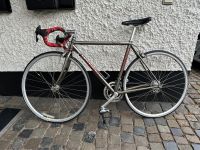 Lemond Rennrad, Retro, Damen, grau, Campagnolo Schaltung, 49 Rheinland-Pfalz - Braubach Vorschau