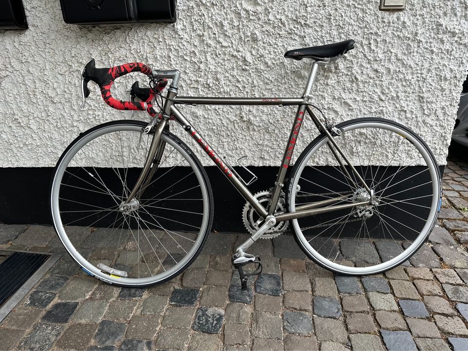 Lemond Rennrad, Retro, Damen, grau, Campagnolo Schaltung, 49 in Braubach