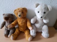 Alte Teddybären Dresden - Niedersedlitz Vorschau